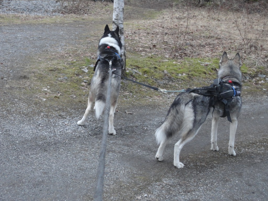 Treningsplan oktober /&nbsp;november