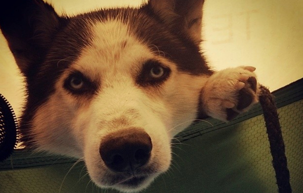 Trenings camp i&nbsp;Nordmarka.