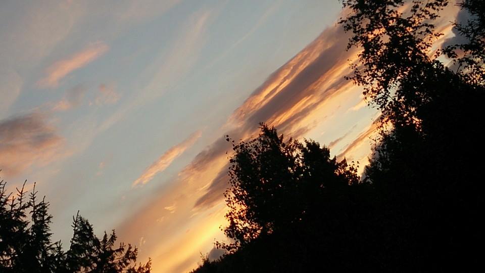 10308717_10154468010770153_4124332885375502930_n