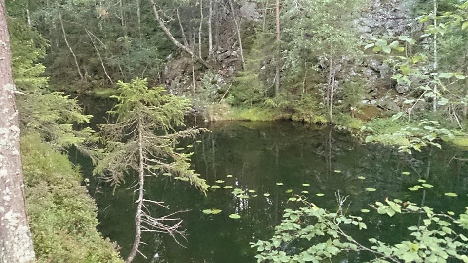 10423789_10154468012305153_129980929966458107_n