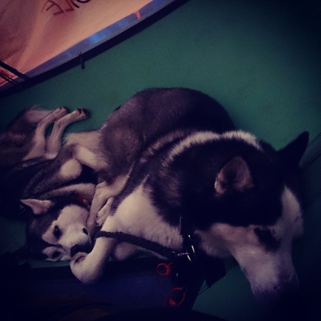 10441323_10154412393690153_4679373366253265596_n