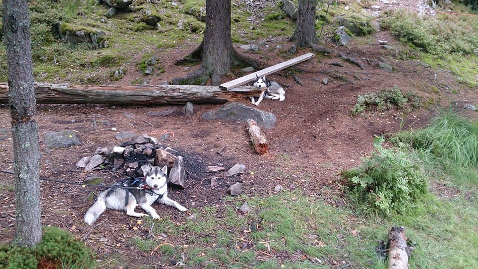 10494670_10154419862950153_3451393369997903521_n