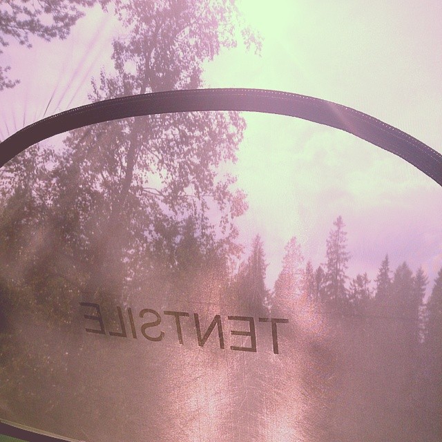 10537063_10154407812925153_1718748697174447382_n