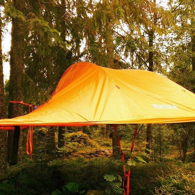 10583804_10154419135135153_6191990637430181774_n