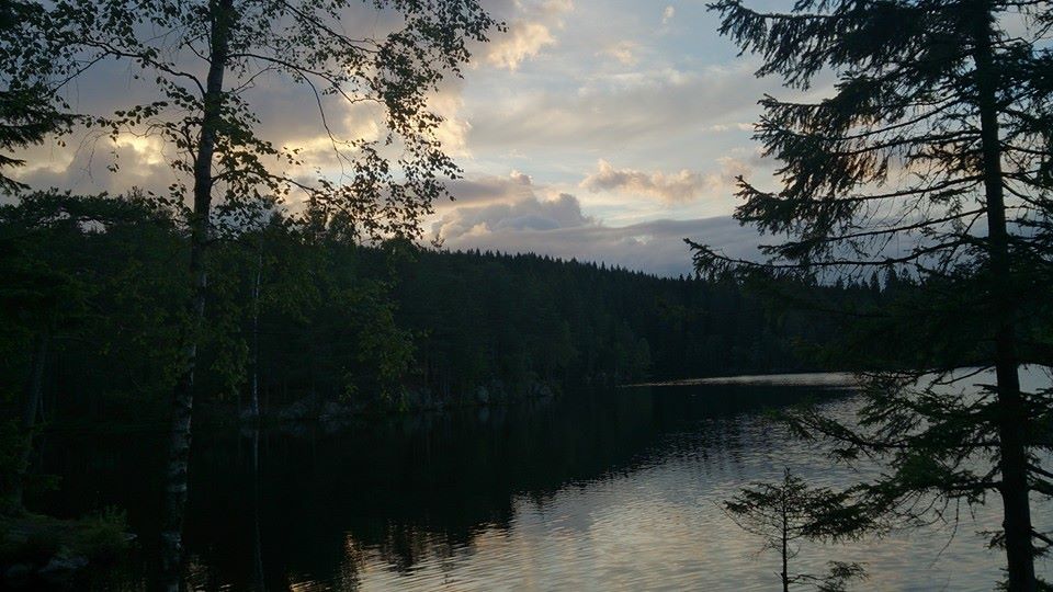 10600455_10154468015270153_6438681231267313858_n