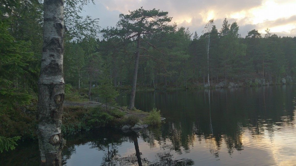 10600549_10154468013810153_8336171048931436799_n