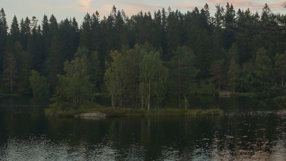 10603211_10154468011665153_169268267315454498_n