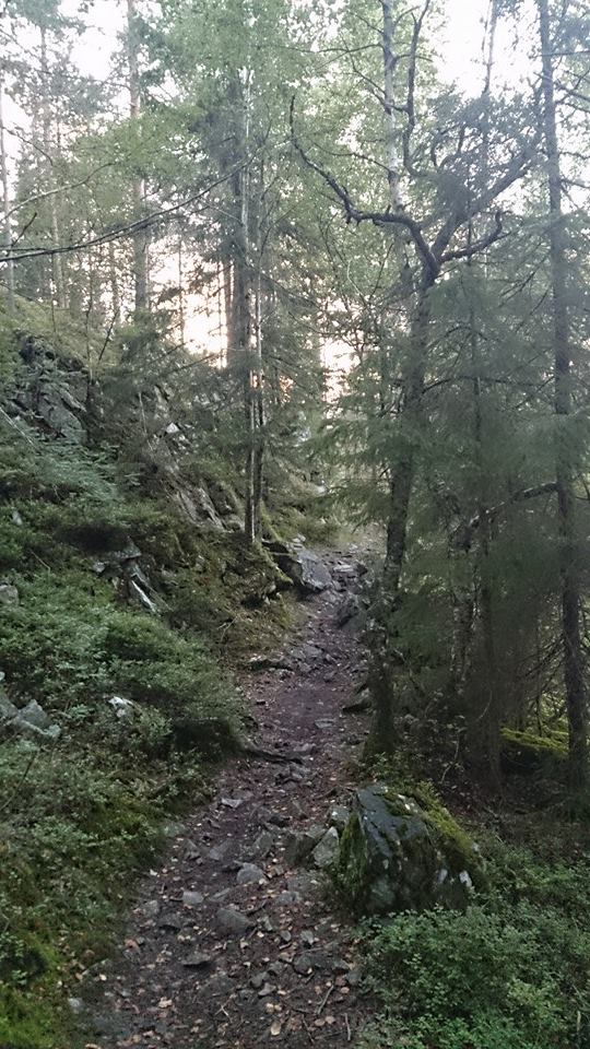 10614345_10154468012065153_3039273964429300833_n