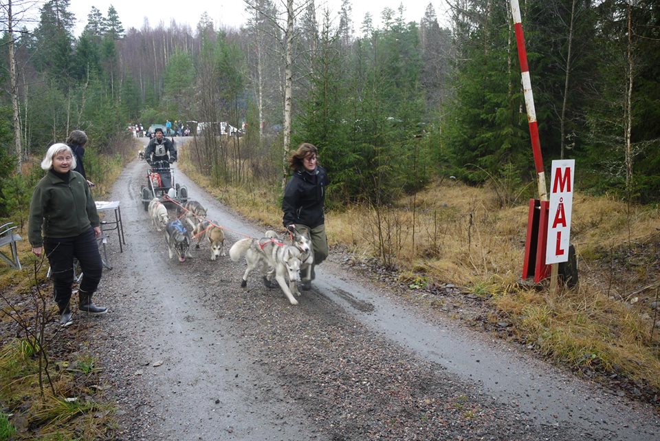 Vi skal delta på Halloween løpet søndag&nbsp;02.11.2014