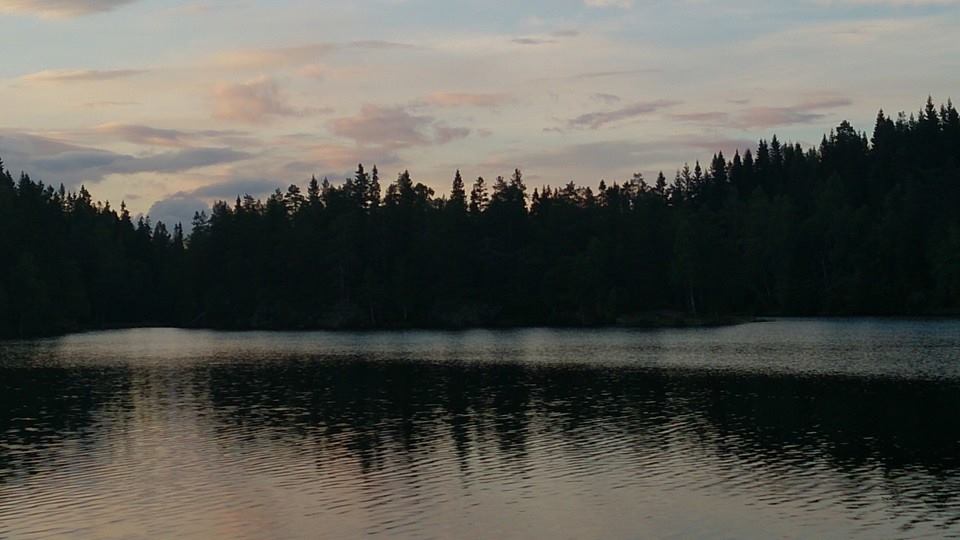 15203_10154468011360153_3842673416786802019_n