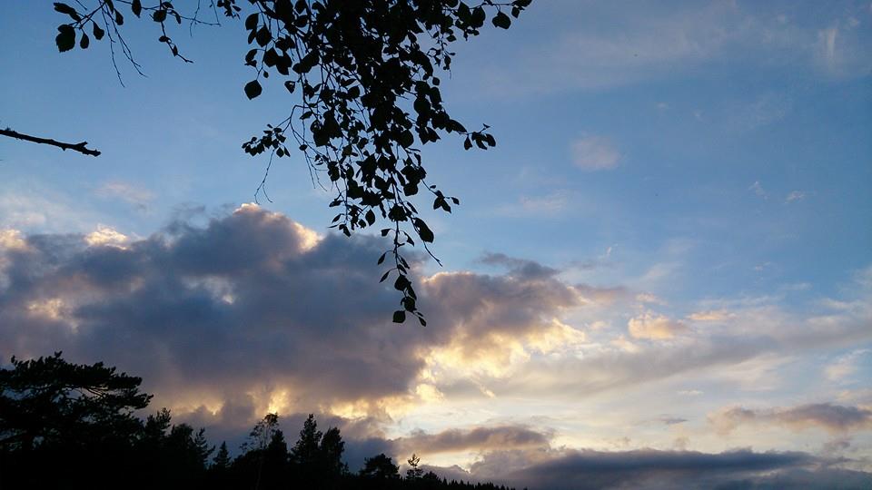 15217_10154468012485153_2062279680350383259_n