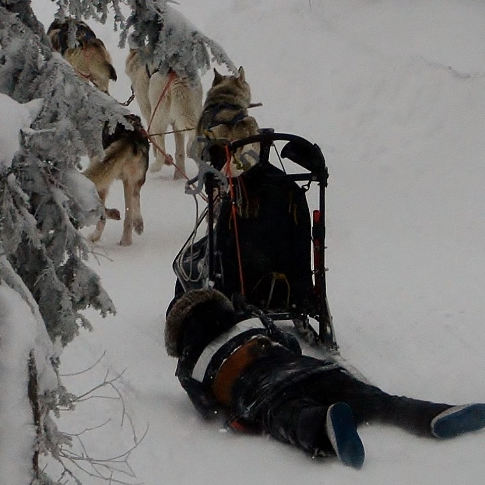 1898183_3773709758311_1529345883_n