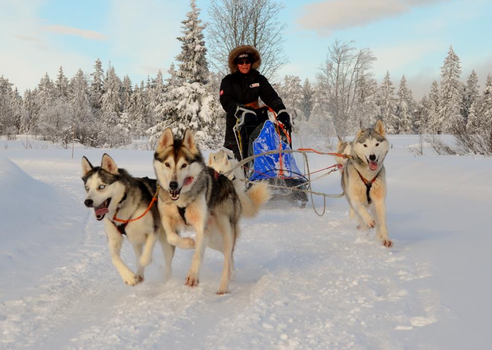 75560_2753160645221_2049103502_n