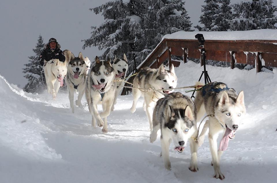 876_3761924543688_1140990581_n