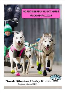 1554434_875308359168499_5693497000355134606_n