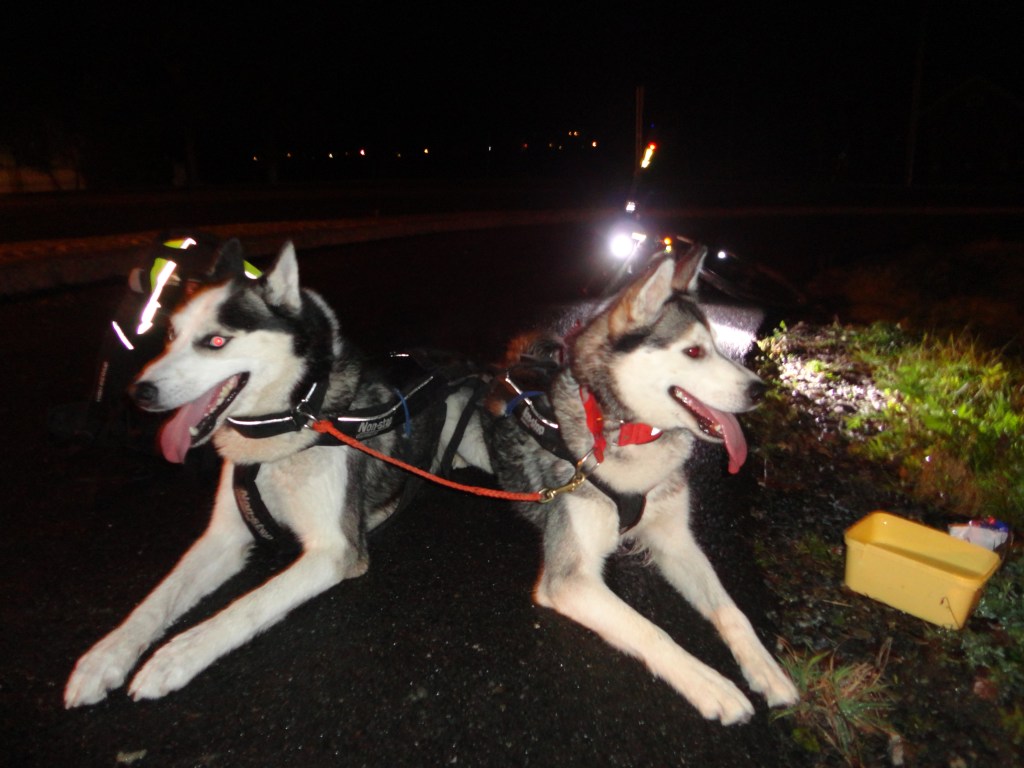 Trening og aktivitets program mai 2015