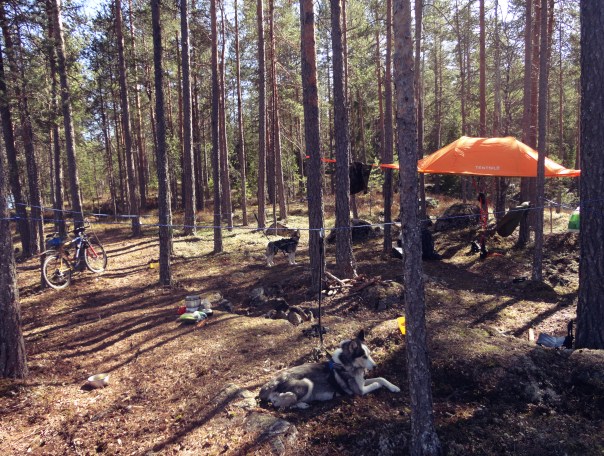 Tresjøen, Nes, Akershus 2015