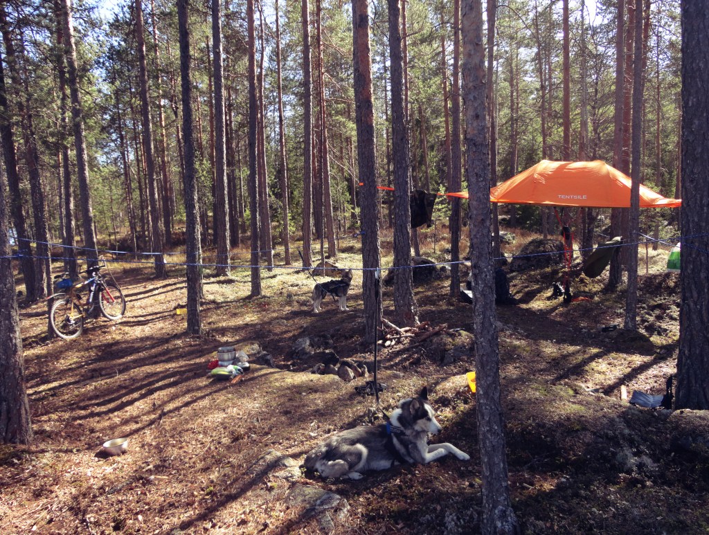 Kjære turdagbok : Tresjøen&nbsp;2015