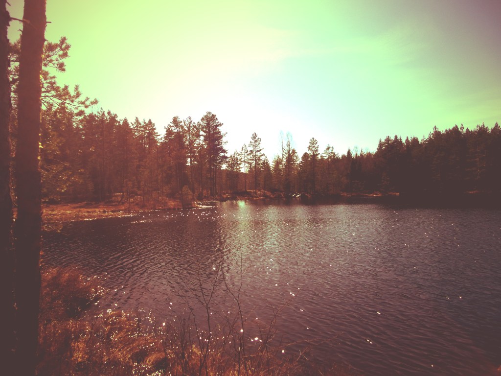 Tenk miljø – Stem grønt&nbsp;!