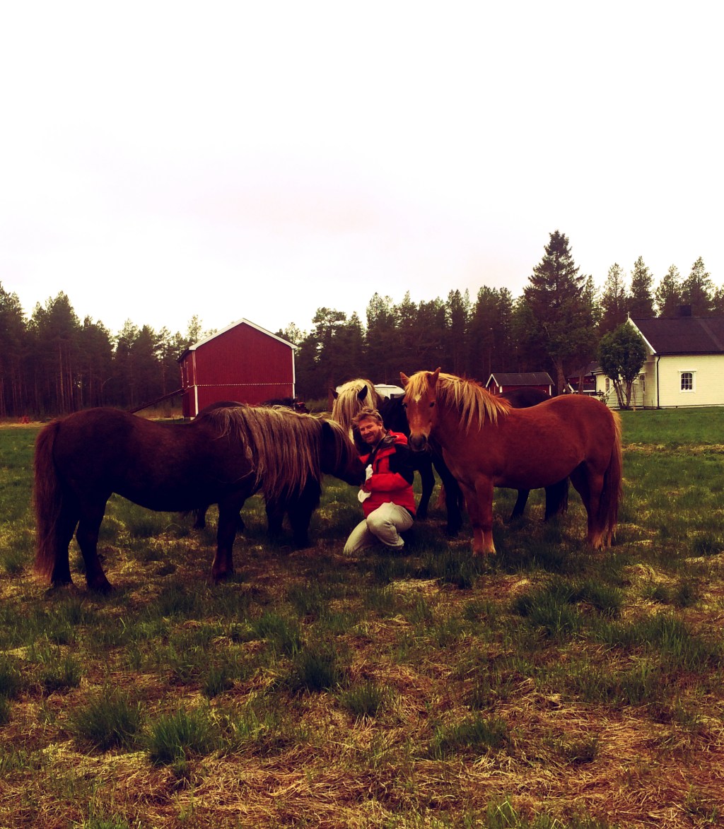 Trening ATV 5 spann Siberian Husky 10 KM – Video.