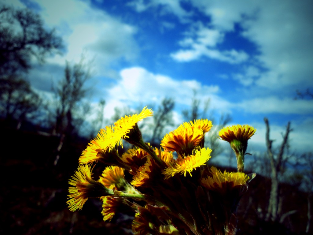 Bilder: Fra turen til Alapsætra, fantastisk&nbsp;helg.