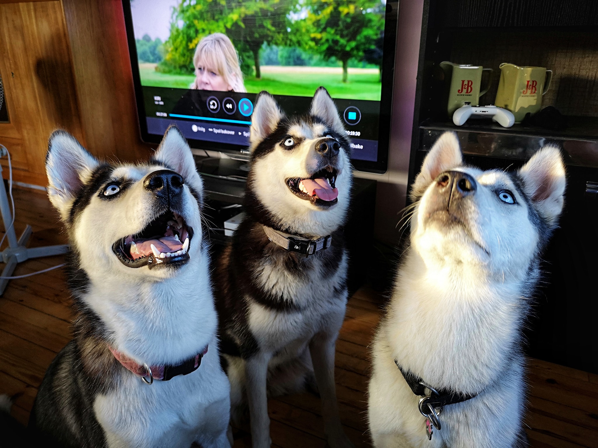 37959492_10216909577558650_9082259361631305728_o