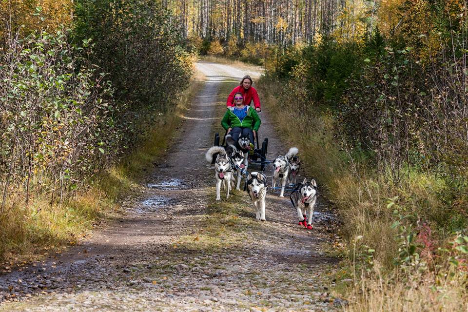 Treningsamling for valpekjøperne.