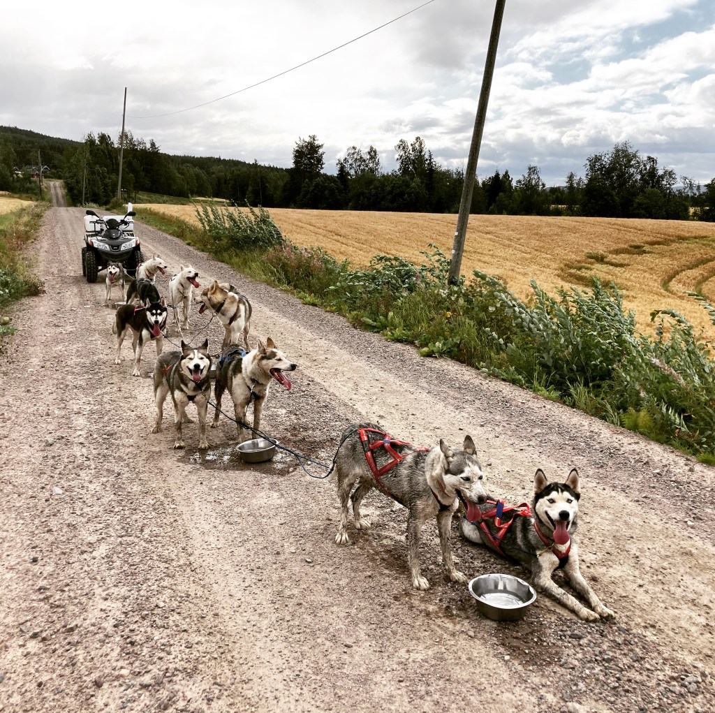 Oppkjøringen til ny sesong er i&nbsp;gang.