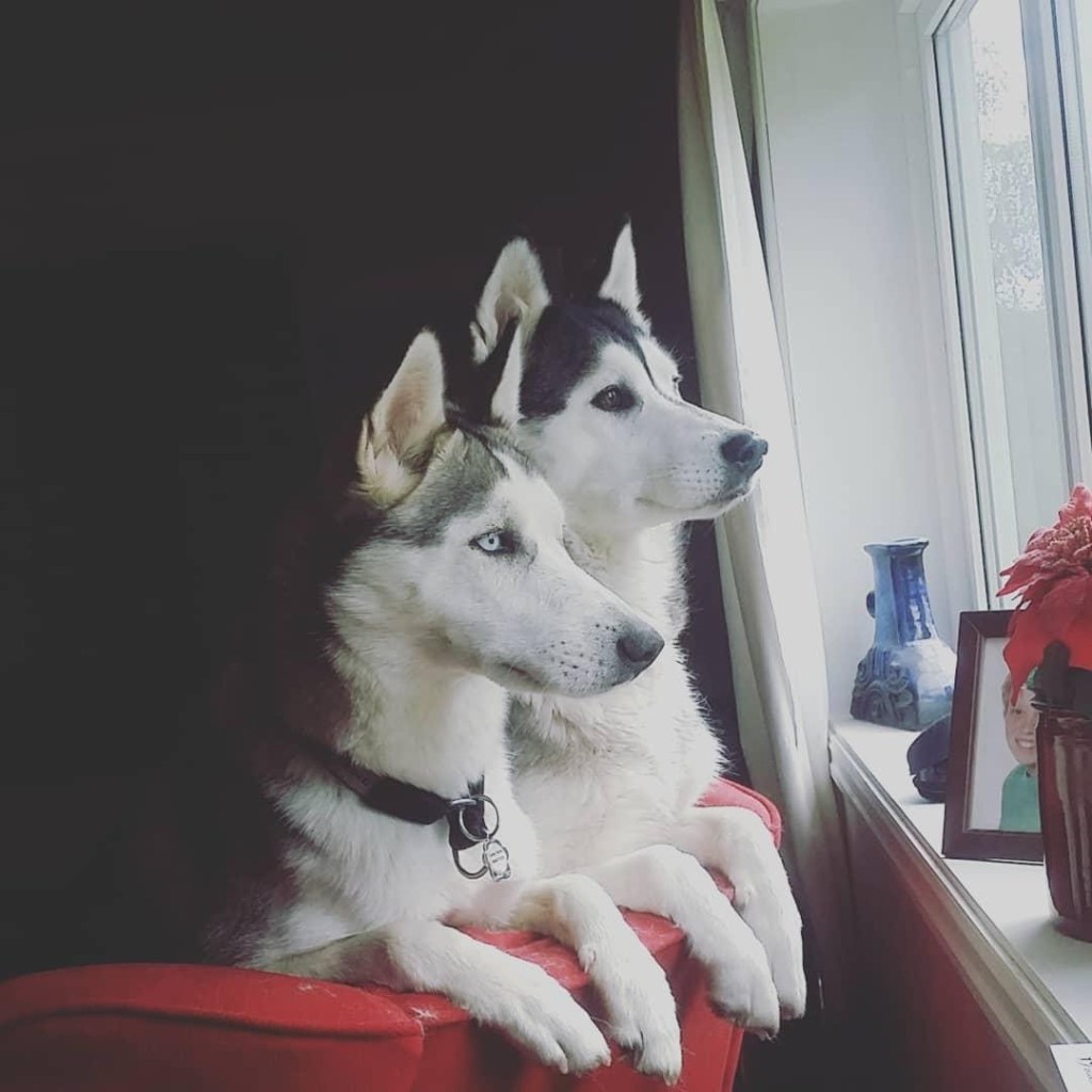 Lady Talisa Jacksdottir