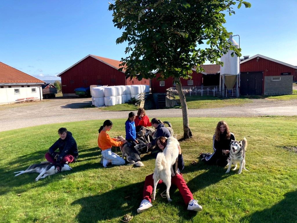 Rundt og rundt det&nbsp;går…