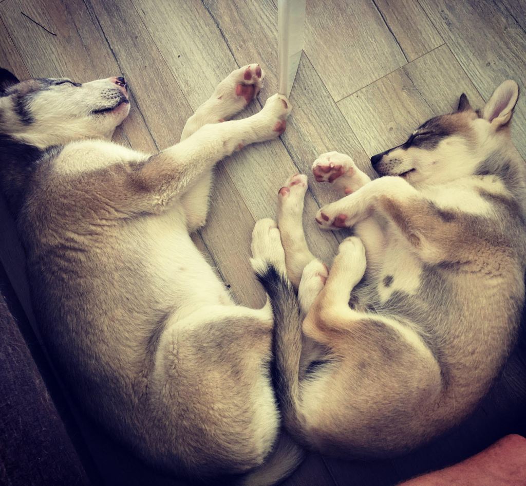 Nytt blod og nye linjer i&nbsp;sommer.