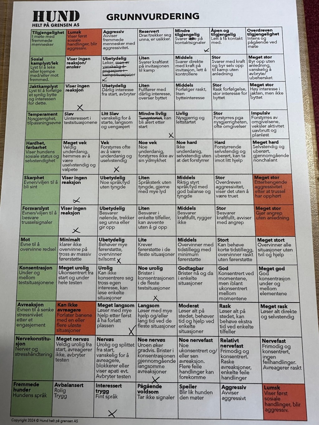 Godkjent mentaltest GV