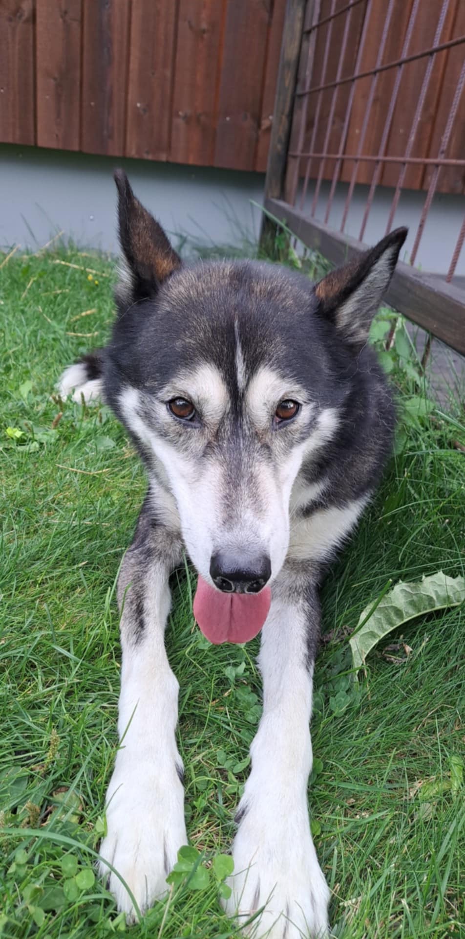 Ash hilser fra&nbsp;Vingelen