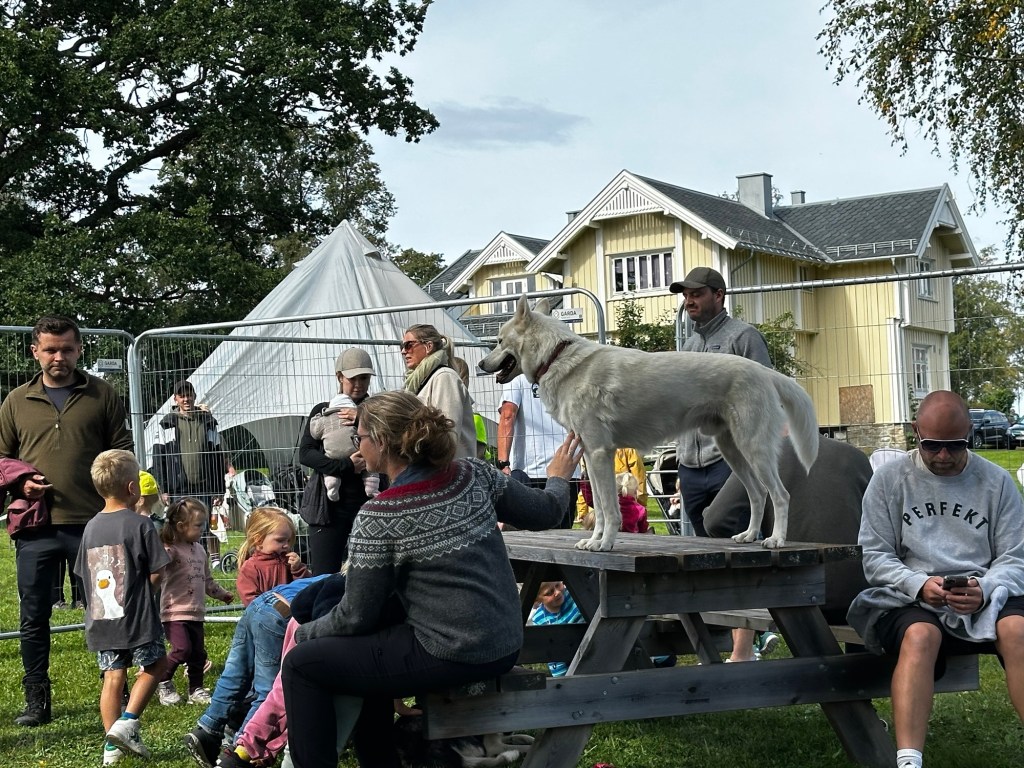 Åpen gård og flokken er&nbsp;med