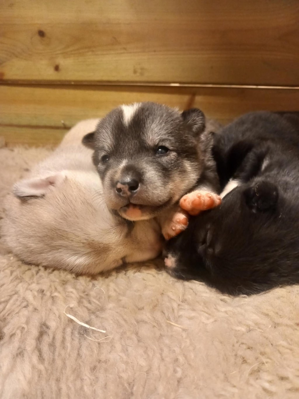 God morgen verden&nbsp;😍