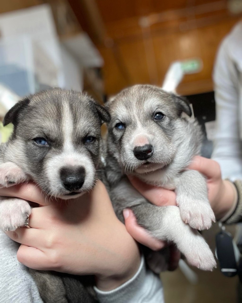 D-kullet fyller 1&nbsp;år