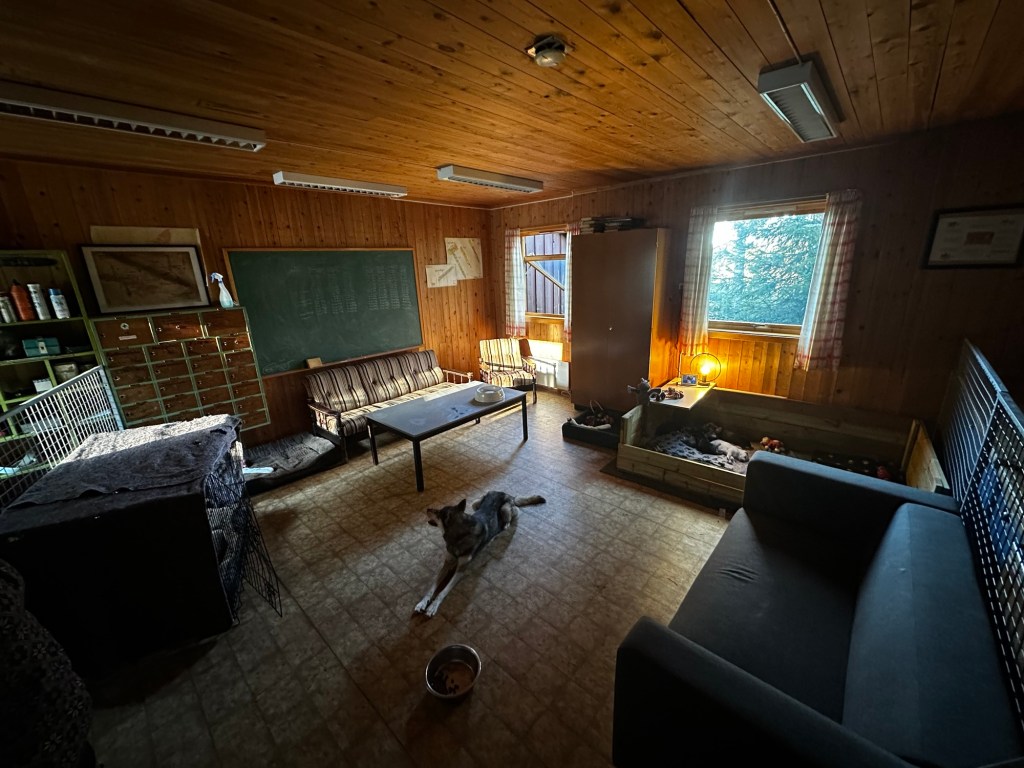 Valpene er klare for&nbsp;besøk