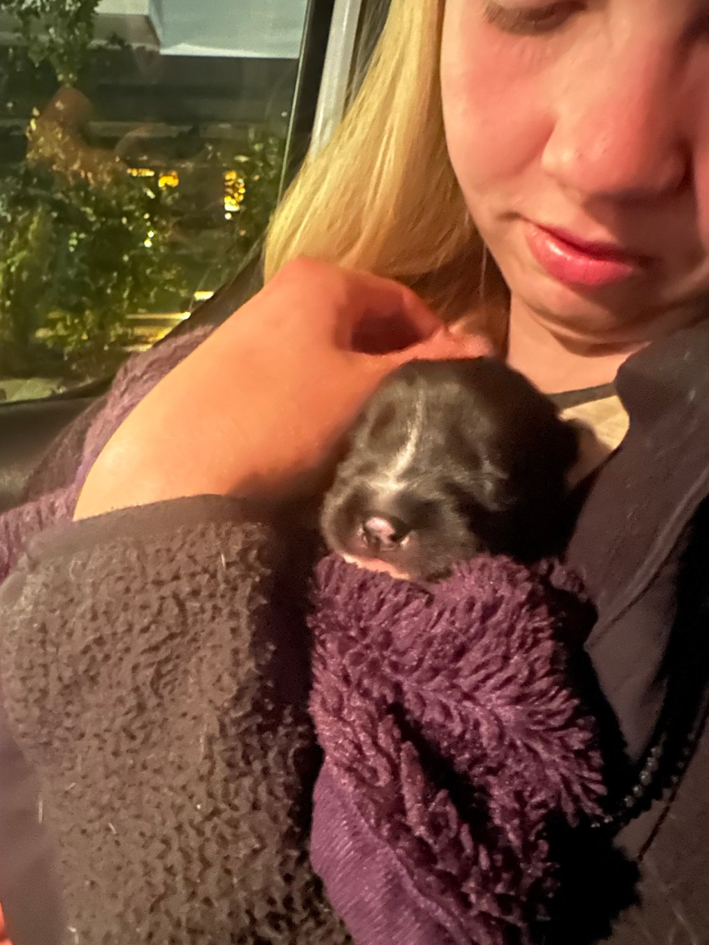 Når alt går galt; En historie om sorg, skyld og det å ikke lytte til&nbsp;magefølelsen!