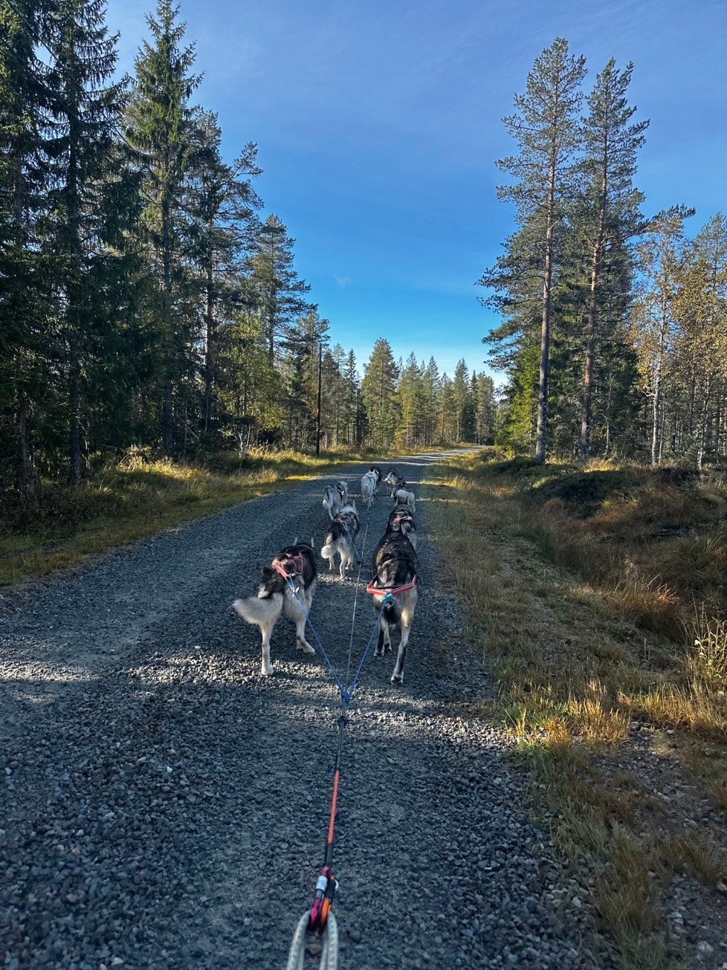 Forbikjøringstrening