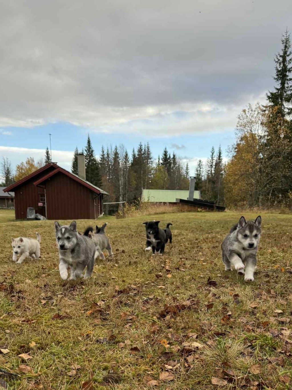 Besøk av Emma og&nbsp;Lina