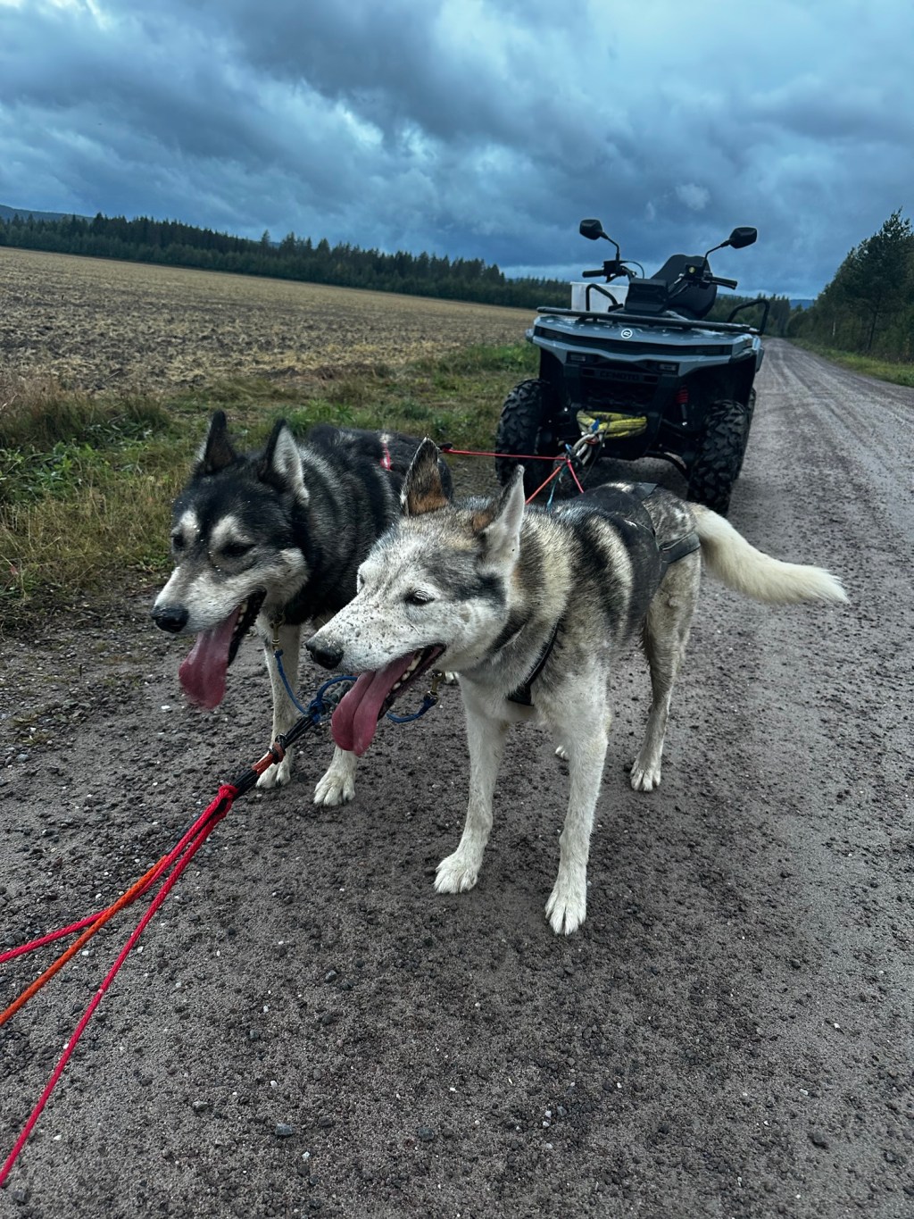 Treningen har startet for Team Lord&Lady&nbsp;Mimirheim.